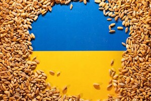 Польща збереже заборону імпорту зерна з України до кінця 2023 року