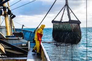 Европу обвиняют в «неоколониализме» из-за лоббирования чрезмерного вылова рыбы в Индийском океане – The Guardian
