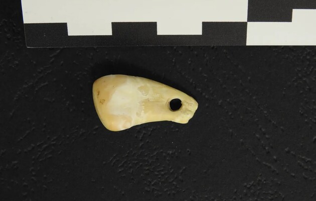 Кулон 19-25 тысяч лет назад носила женщина