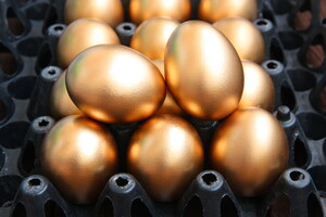 Решена ли проблема с «яйцами по 17 гривен»? Первые результаты действия закона о прозрачных закупках