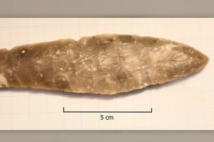 Восьмилетняя школьница из Норвегии случайно нашла кинжал каменного века