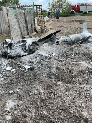 Уламки ракети впали на Київський зоопарк
