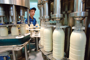 Экспорт украинской молочной продукции снизился