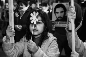 Белые ромашки расцветают на улицах Уругвая в память о пропавших без вести в годы диктатуры