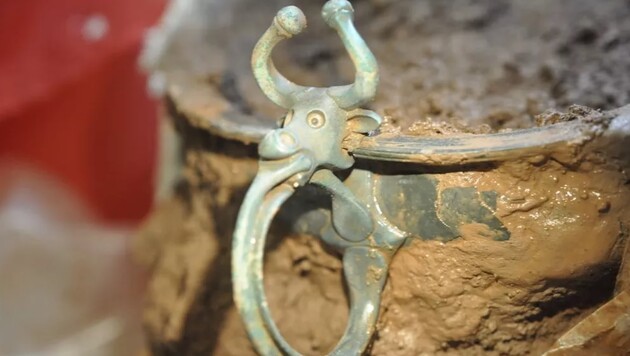 Металошукач знайшов в Уельсі римську чашу з головою бика