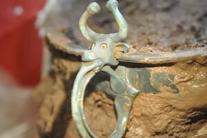 Металлоискатель нашел в Уэльсе римскую чашу с головой быка