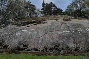 У Швеції знайшли стародавні наскельні малюнки, які ховалися під мохом