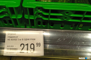 Понад чверть росіян перейшли на продукти, вирощені на дачах, щоб якось прогодуватися - The Moscow Times