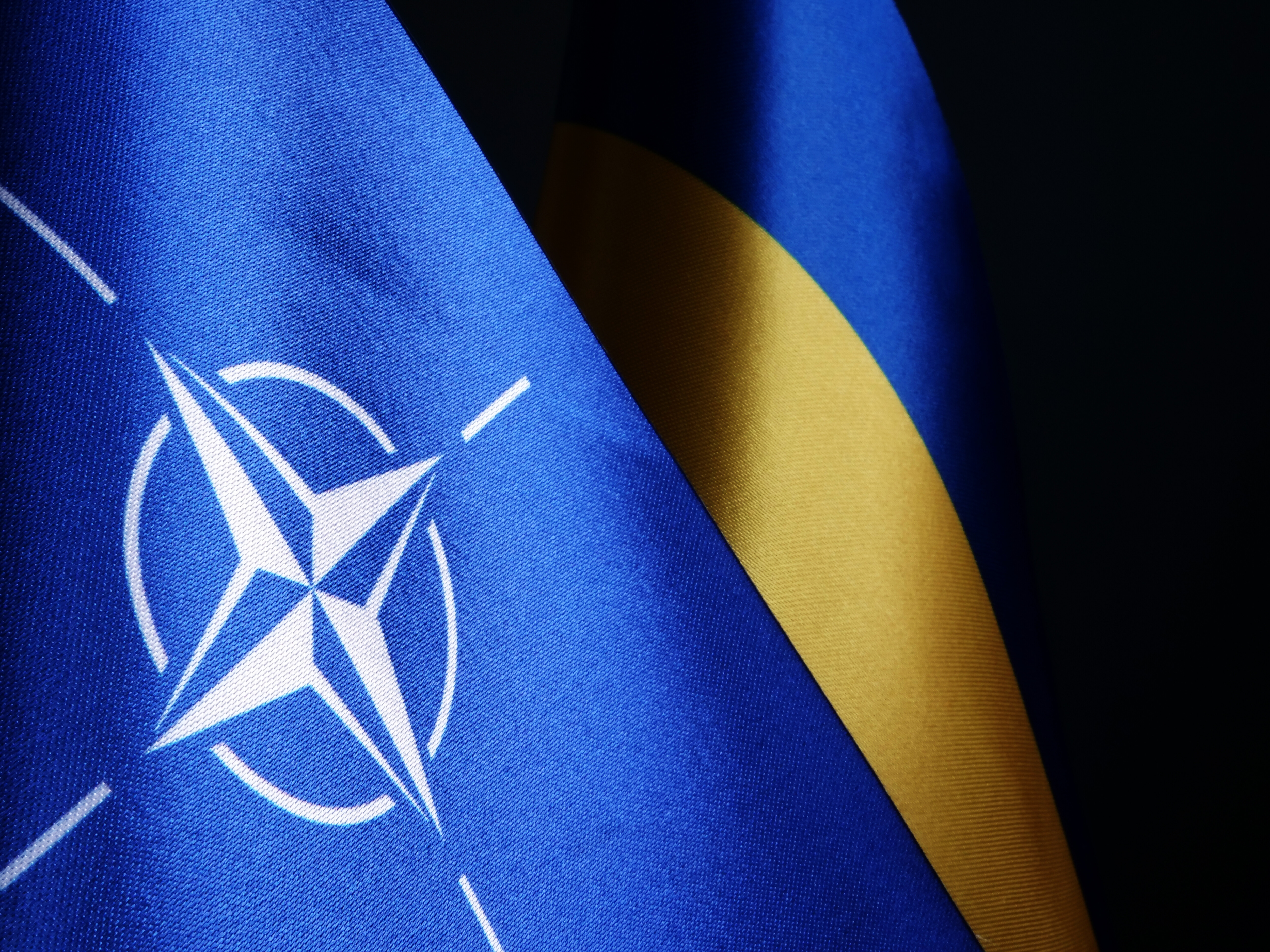 Сенат Чехии выступил за скорейшее вступление Украины в НАТО