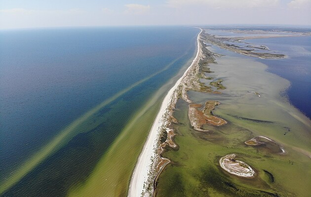 Затока між Кінбурнською косою і півостровом Ягорлицький Кут, Чорноморський біосферний заповідник