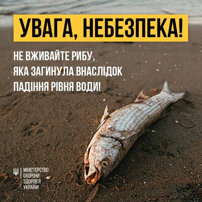 Массовый мор рыбы из-за подрыва Каховской ГЭС может привести к тяжелым отравлениям - Минздрав