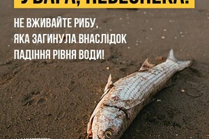 Массовый мор рыбы из-за подрыва Каховской ГЭС может привести к тяжелым отравлениям - Минздрав
