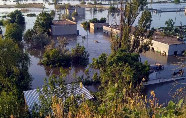 Єдиний осетровий завод в Україні повністю затоплено — Мінагрополітики