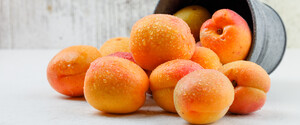 Врожай абрикосів: яким він буде цього року