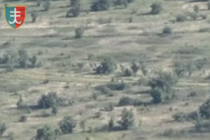 Россияне сбегают с поля боя: Сырский показал видео аэроразведки 35 ОБрМП