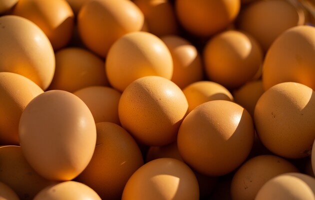 Глава Госаудитслужбы о яйцах военным за 17 грн: «Да, Минобороны покупало. Десяток – 170 грн»