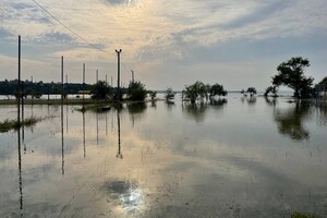 В Херсонской ОВА назвали сумму ущерба окружающей среде, который уже нанес подрыв Каховской ГЭС