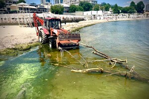 В Одесі заборонено купатися на всіх пляжах через погіршення стану води