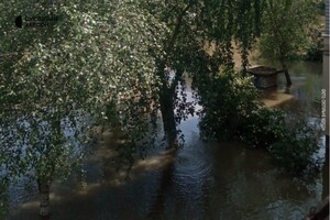 У Голій Пристані вода більше не відступає, частина міста підтоплена
