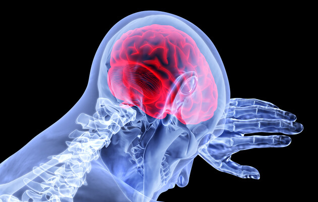 Підвищення температури повітря може призвести до зменшення мозку