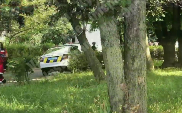 Скриншот видео с места происшествия