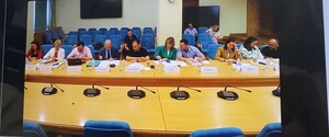 Оппонентов градостроительной реформы не допустили на обсуждение законопроекта с представителями Европарламента – Рух 