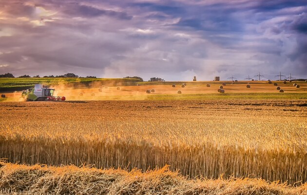 От минимума до максимума: какой урожай зерновых в Украине прогнозируют эксперты