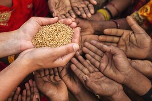 Bloomberg: Світ опинився на порозі продовольчої кризи