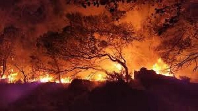 Греческий остров Родос охватил масштабный пожар: эвакуируют тысячи людей