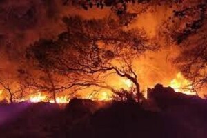 Грецький острів Родос охопила масштабна пожежа: евакуйовують тисячі людей