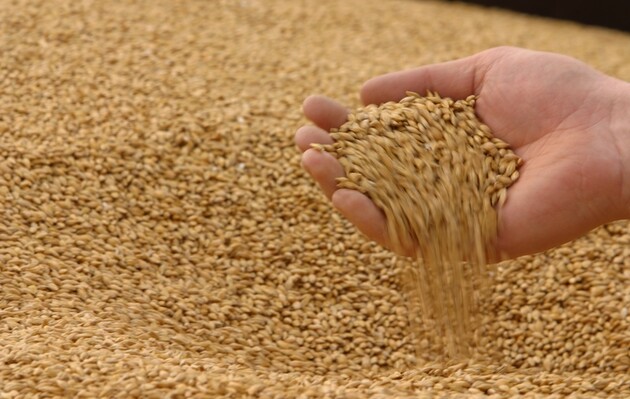 Світові ціни на пшеницю злетіли через російську атаку порту на Дунаї – Bloomberg