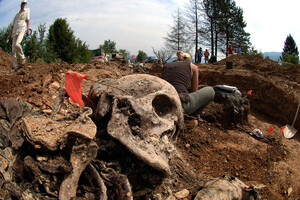 Резня в Сребренице: как Россия сегодня использует давнюю трагедию