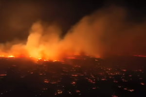 На Гавайях вспыхнули лесные пожары, есть погибшие и разрушения