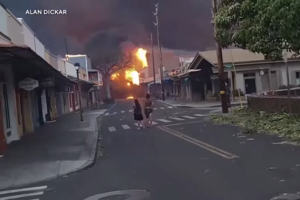 Пожежі на Гаваях: вже пів сотні загиблих – відео з охопленого полум'ям острова 
