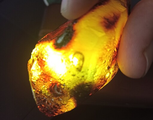 В кусочке янтаря нашли также пузырьки воздуха