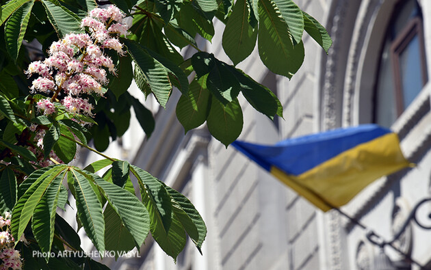 Україна має створити стандартизований сертифікований тест, такий як TOEFL – експертка