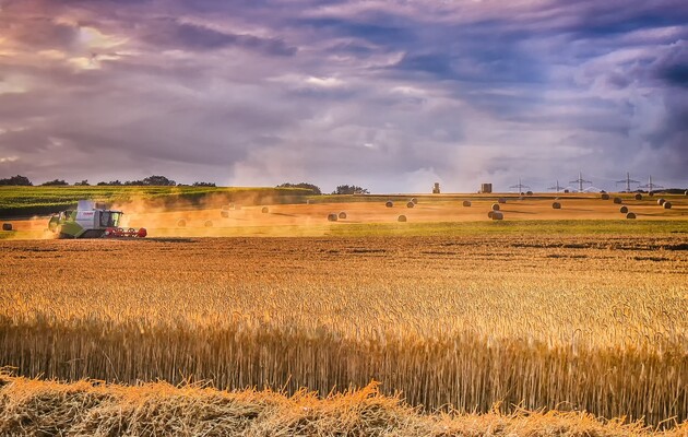 Украина собрала 27,3 млн тонн зерновых