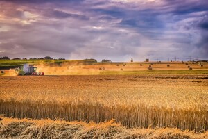 Україна зібрала 27,3 млн тонн зернових