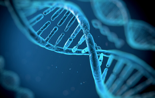 Ученые впервые полностью секвенировали человеческую Y-хромосому
