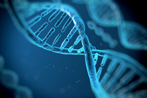 Вчені вперше повністю секвенували людську Y-хромосому