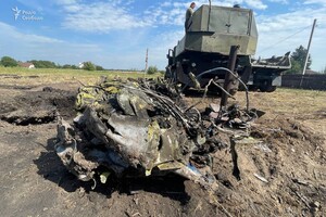 На Житомирщині зіштовхнулися два літаки, загинув відомий пілот — ДБР розпочало розслідування