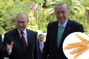 Зерновая сделка по-новому? Пойдет ли Украина на уступки «дорогим друзьям» Путину и Эрдогану