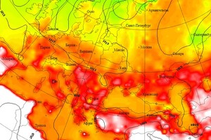 Лето 2023 года было самым жарким с 1940 года – ученые