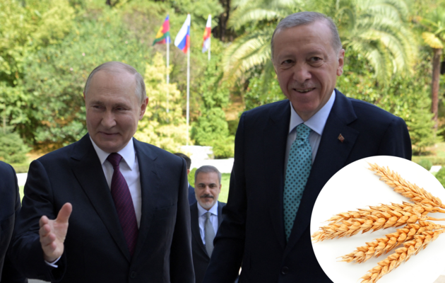 Ердоган вважає, що будь-які «зернові угоди» в обхід Росії не будуть життєздатними