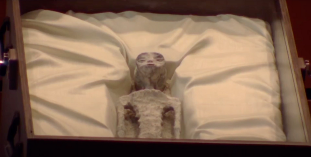 В парламенте Мексики показали якобы 1000-летние скелеты инопланетян – видео