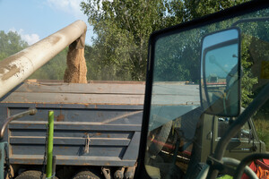 У ЄС відреагували на заборону імпорту українського зерна з боку Польщі, Угорщини та Словаччини