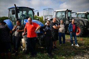 У Болгарії фермери заблокували дороги через скасування заборони на імпорт українського зерна