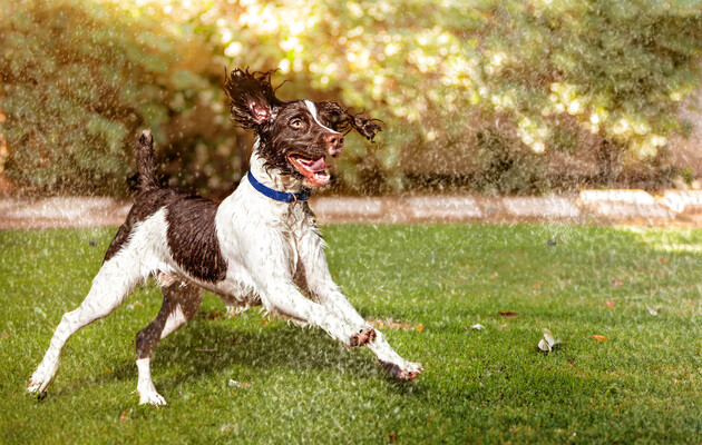 Вересень 2023 року став рекордно спекотним