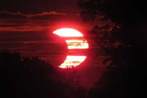 Кільцеве сонячне затемнення: де і коли можна подивитися