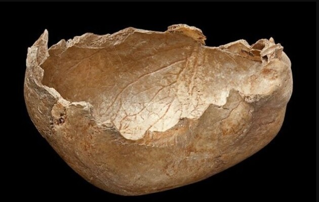 Вчені знайшли свідчення канібалізму у давній Європі